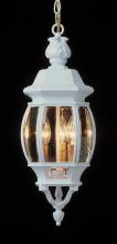  4066 BG - Parsons 3-Light Traditional French-inspired Outdoor Hanging Lantern Pendant with Chain